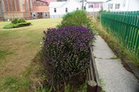 
DSC00295